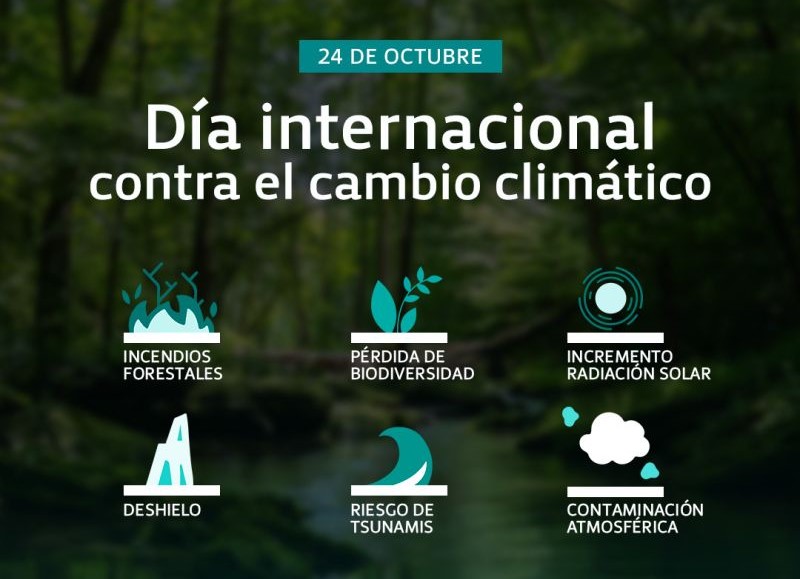 Hoy es el Día Internacional del Cambio Climático y desde BGH Eco Smart es algo en lo que nos ocupamos día a día